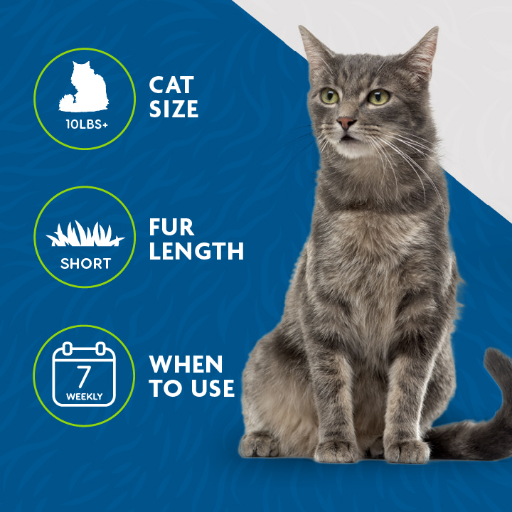Furminator bad for sales cats